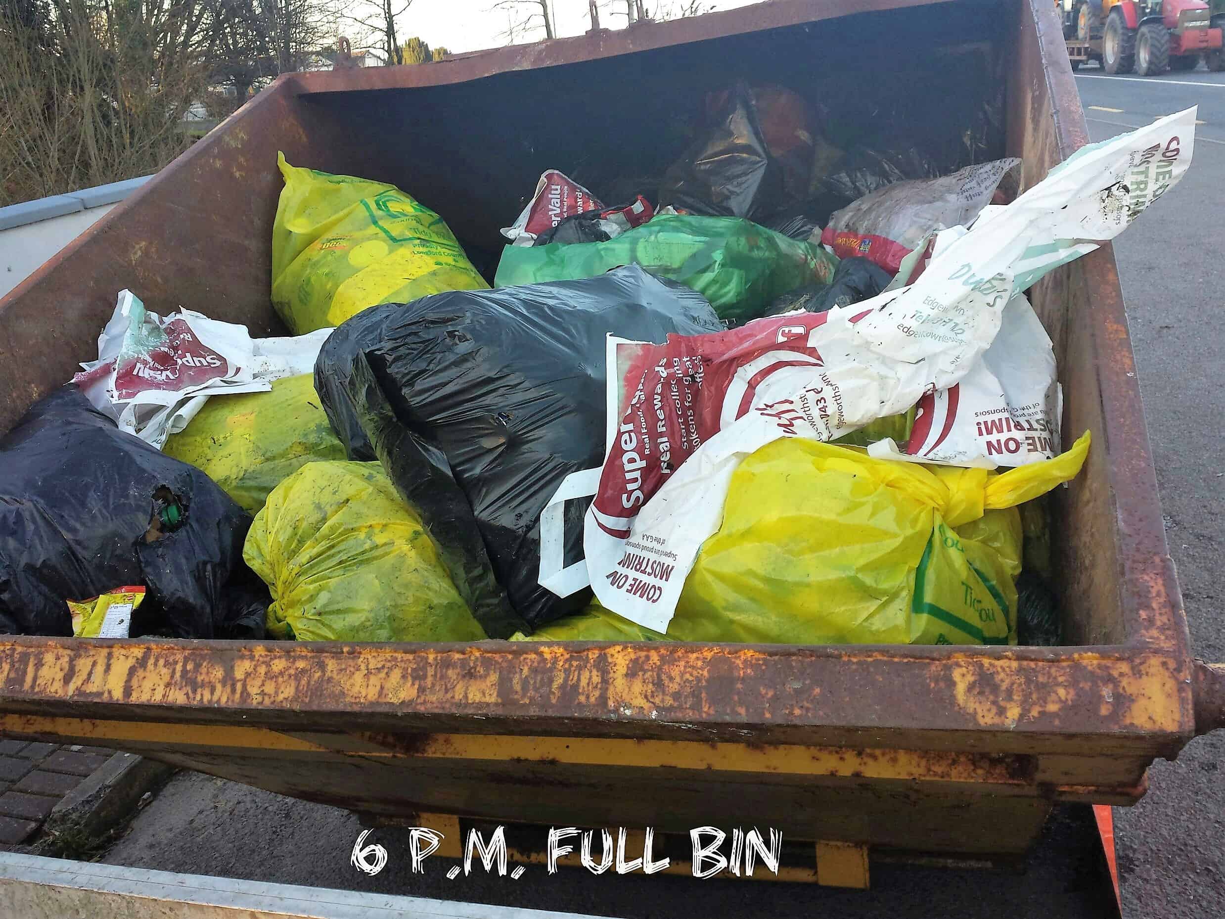 Spring Cleanup March '17 - Full Bin
