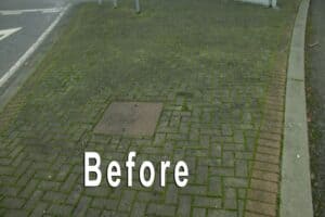 Moss removal - before image